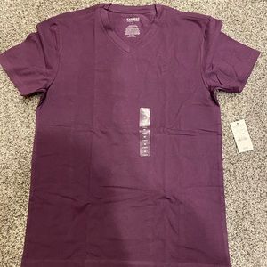 Express purple V-neck stretch fit